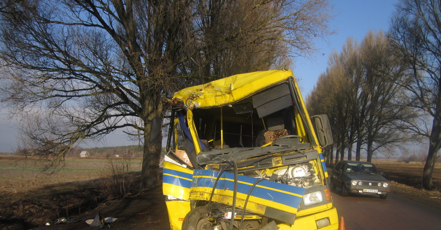 На Львовщине автобус въехал в дерево: 25 пассажиров оказалось в больнице