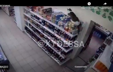 В Одессе кот разгромил супермаркет