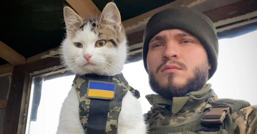 Военнослужащий нашел своего звездного кота Шайбу, которого искал три недели