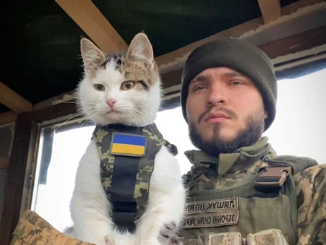 Военнослужащий нашел своего звездного кота Шайбу, которого искал три недели