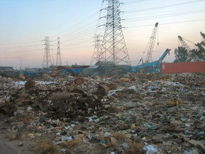 В области насчитывается  500 «нелегальных» мусоросвалок 