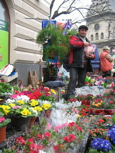 Продавцы цветов обещают не поднимать цены 