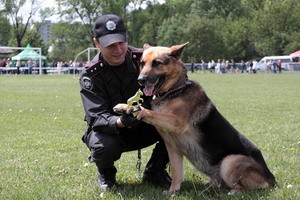 На выставке собак показали, как тренируют военных «четвероногих» 