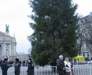 В центре Львова установили новогоднюю елку 