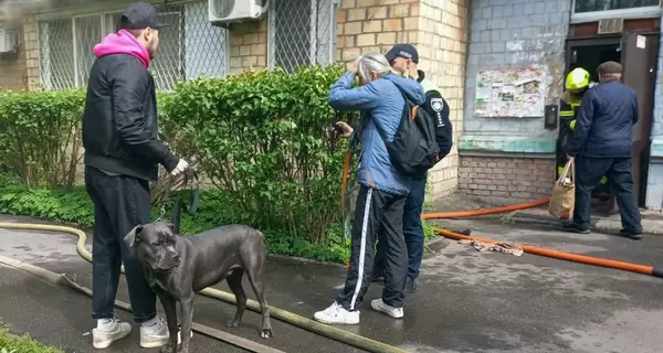 В Киеве спасатели вынесли из горящей квартиры более десяти собак и котов 